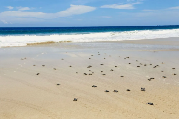 Screenshot 2026 03 02 132353