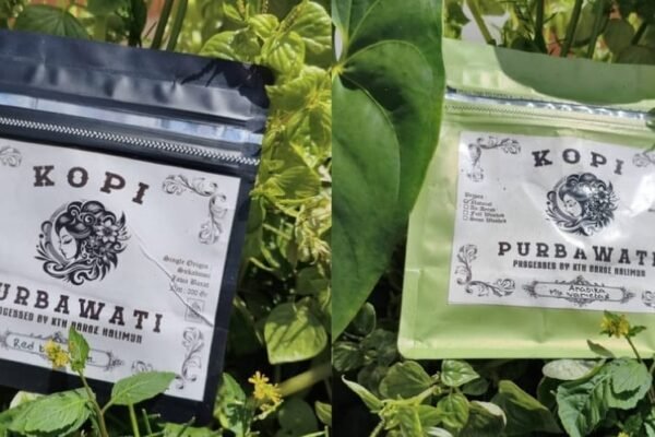 WhatsApp Image 2026 03 01 at 4.53.28 AM