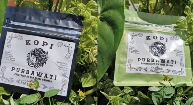 WhatsApp Image 2026 03 01 at 4.53.28 AM