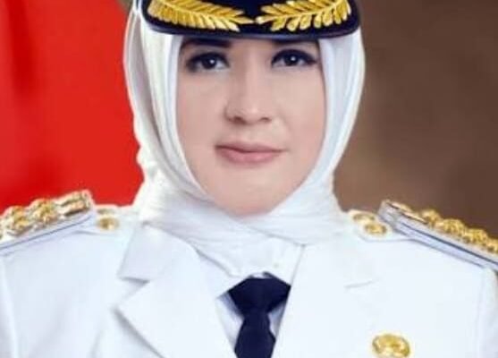 WhatsApp Image 2026 03 03 at 11.43.14 AM