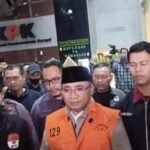 WhatsApp Image 2026 03 12 at 10.05.49 PM