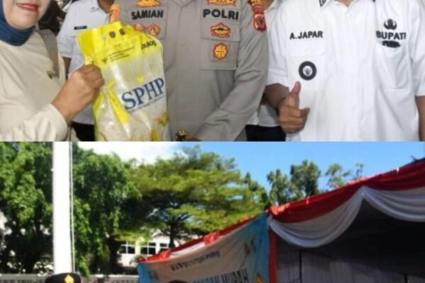 WhatsApp Image 2026 03 12 at 14.56.44