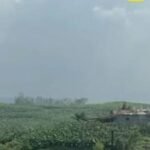 WhatsApp Image 2026 03 12 at 22.58.41 1