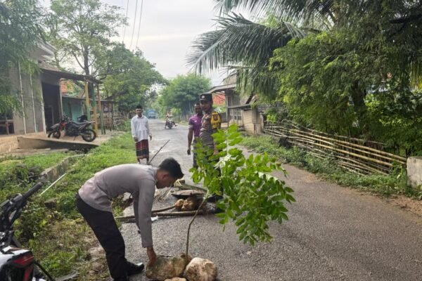 WhatsApp Image 2026 03 23 at 12.50.40