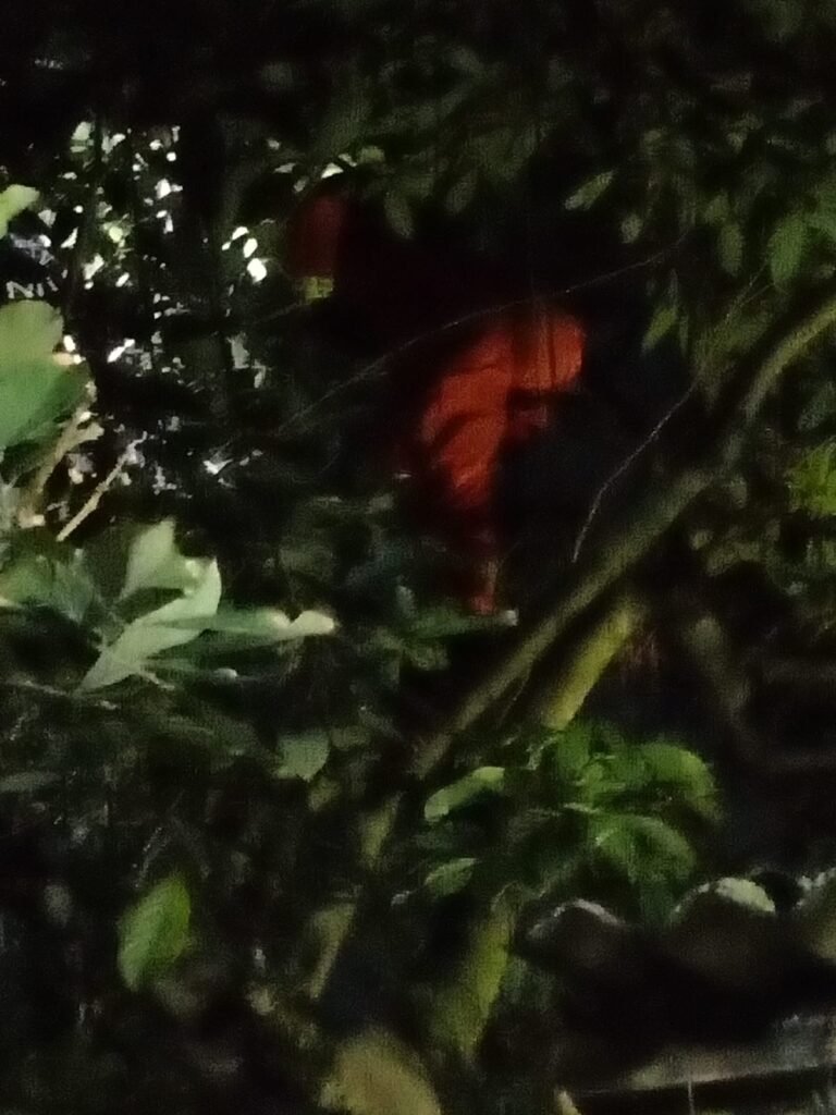 WhatsApp Image 2026 03 23 at 12.52.04