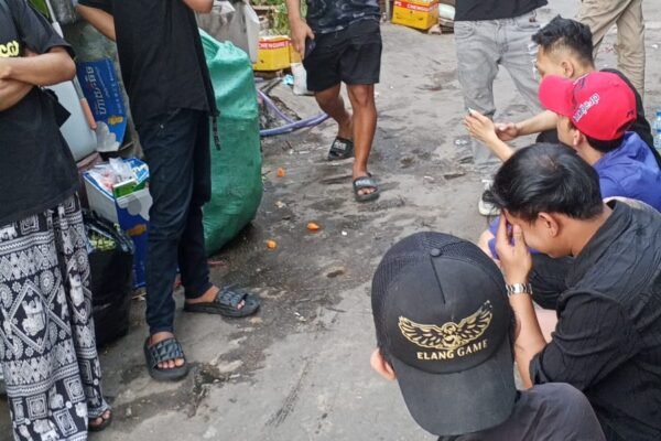 WhatsApp Image 2026 03 25 at 20.41.27