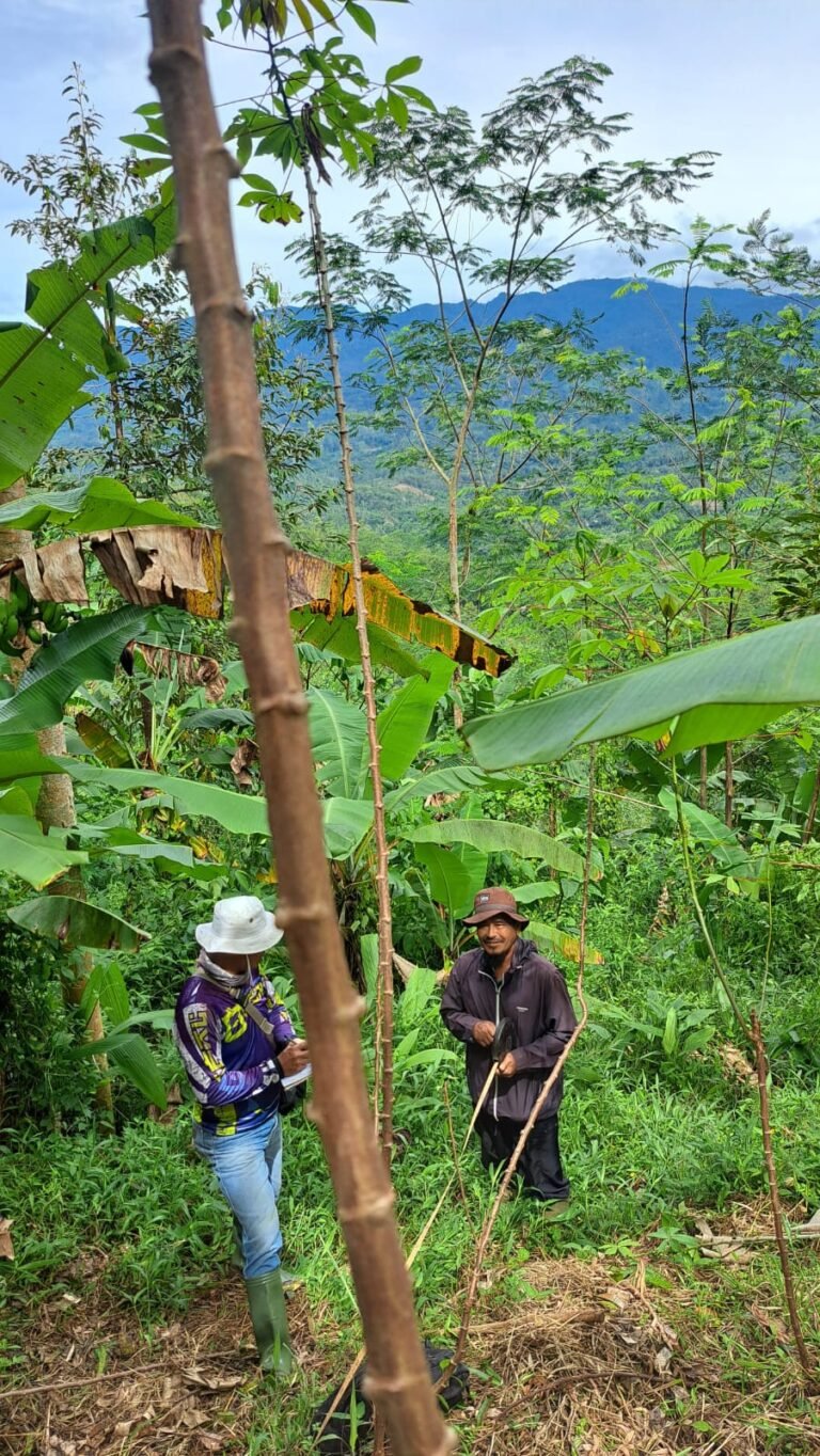 WhatsApp Image 2026 04 12 at 1.20.15 PM