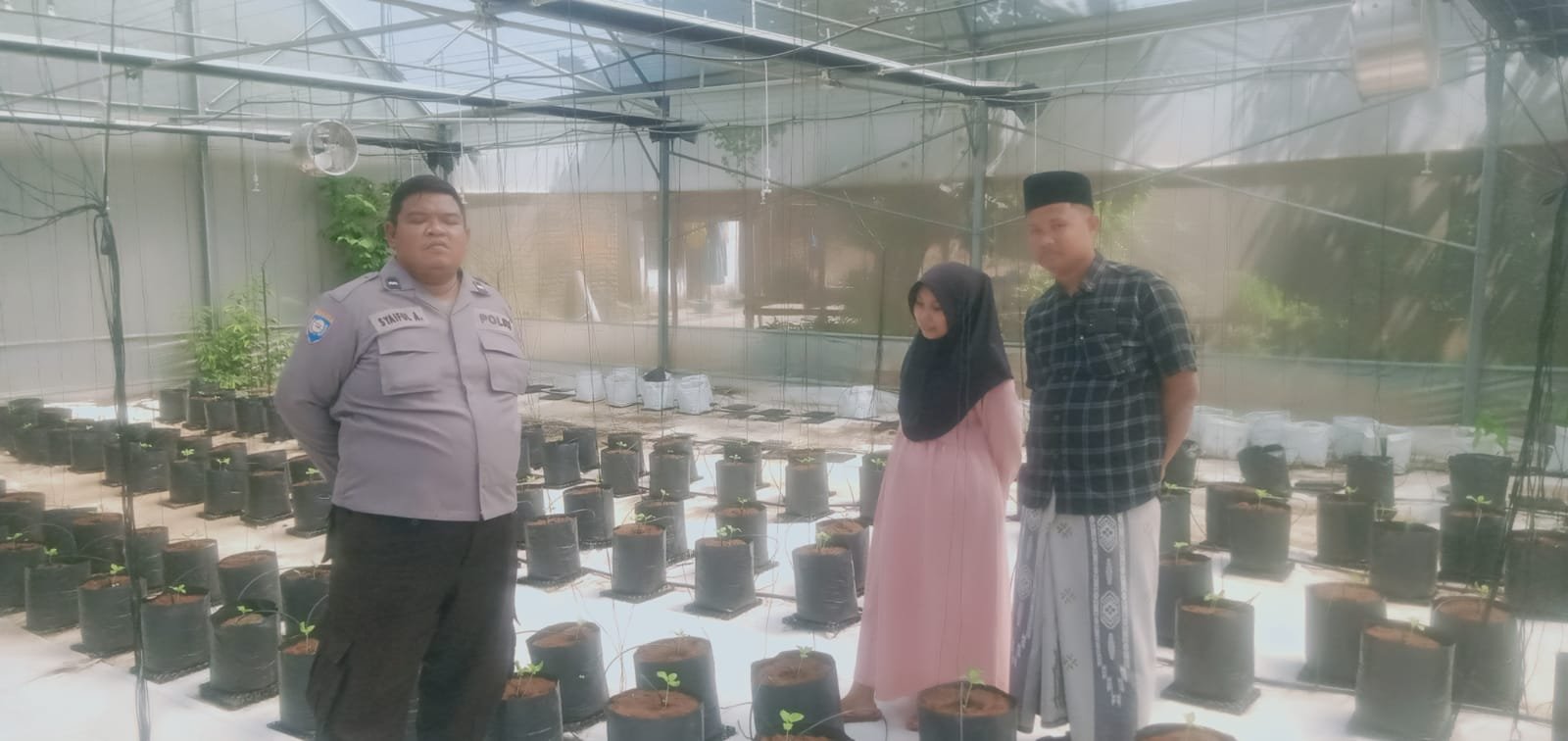 Polsek Batang-Batang Dukung Ketahanan Pangan Nasional Melalui Pemantauan Budidaya Melon Pertiwi 2 WhatsApp Image 2026 06 13 at 11.23.08 1