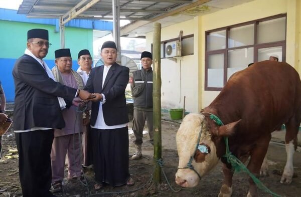 bupati sukabumi asep japar laksanakan salat idul adha di jampang tengah 1779850778248 169