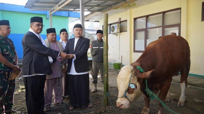Pemkab Sukabumi Salurkan 322 Hewan Kurban 1 bupati sukabumi asep japar laksanakan salat idul adha di jampang tengah 1779850778248 169