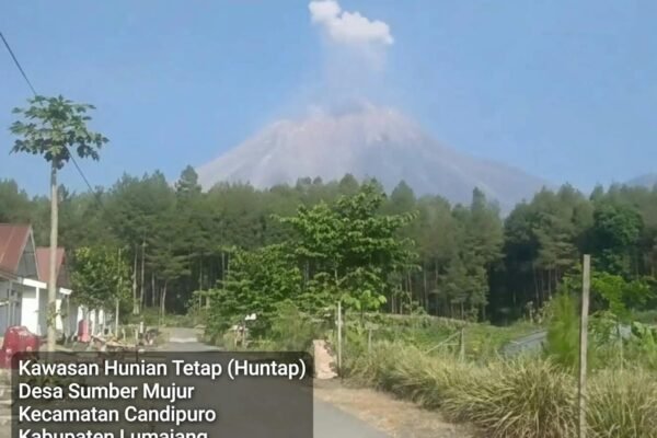 WhatsApp Image 2026 09 25 at 13.44.35